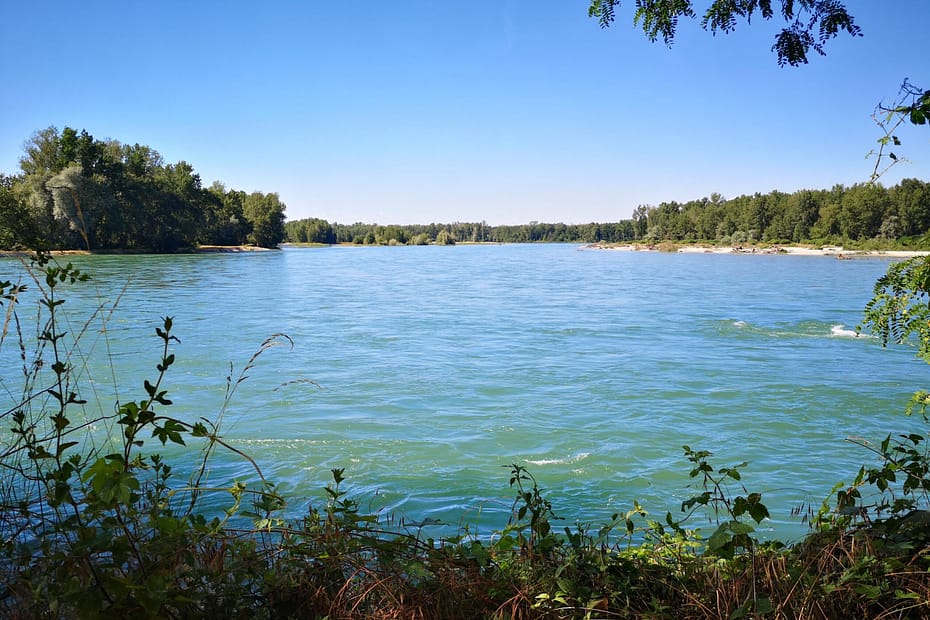 fiume ticino - escursioni parco ticino